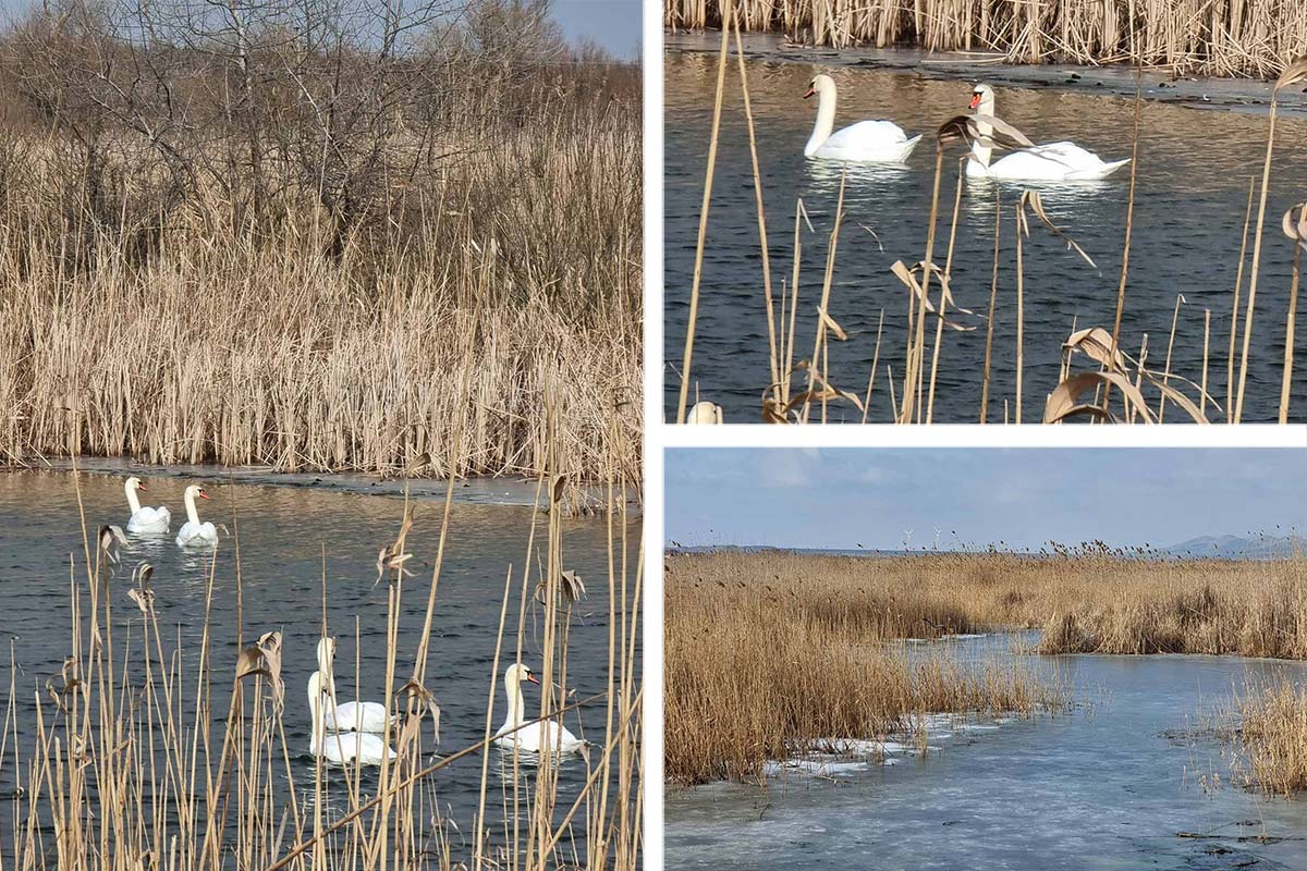 Das Donaudelta … und alles ist ruhig